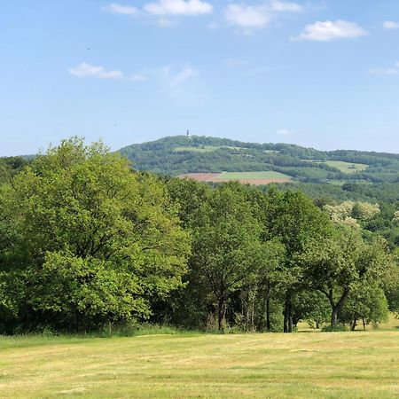 Ferienwohnung Maurer Hasborn-Dautweiler Kültér fotó