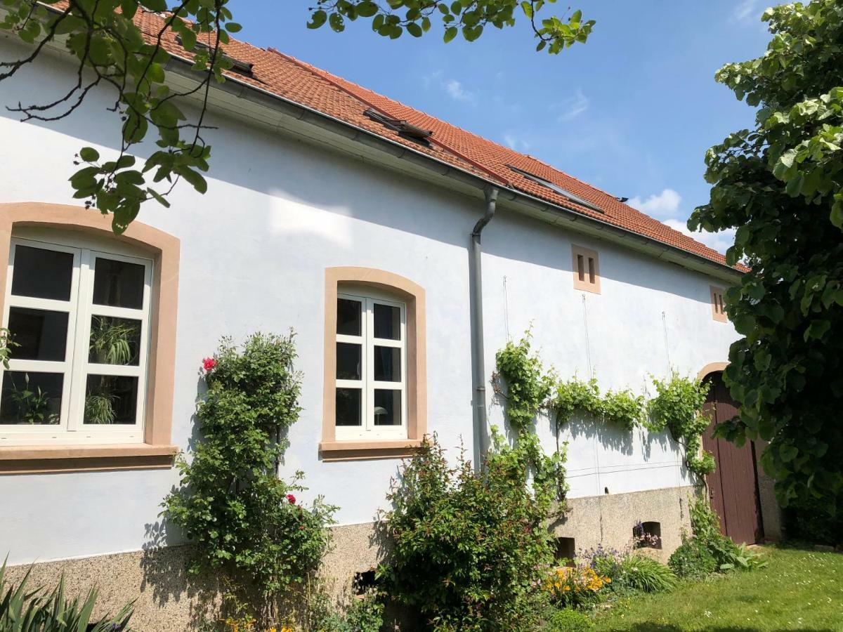 Ferienwohnung Maurer Hasborn-Dautweiler Kültér fotó