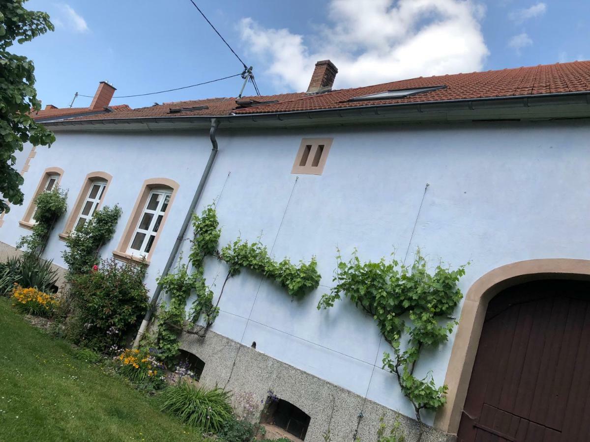 Ferienwohnung Maurer Hasborn-Dautweiler Kültér fotó